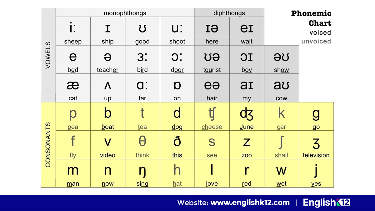 Bảng phiên âm quốc tế IPA (International Phonetic Alphabet)